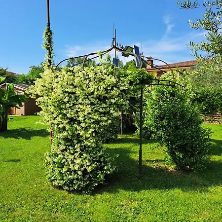 Arpe Bed & Breakfast