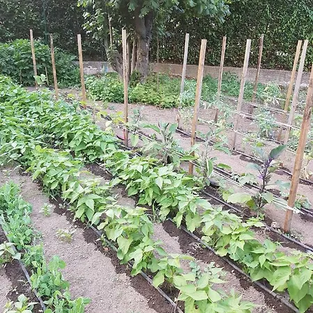 Arpe ベッド・アンド・ブレックファスト *